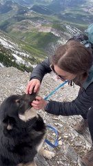 That's One Way To Hydrate Your Dog