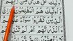 Learn Quran With Tajweed -Learn Surah Al Baqarah Word by Word By Qari Muhammad Saleem