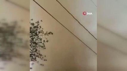 Meksika'da korkutan hortum: 4 ev hasar gördü