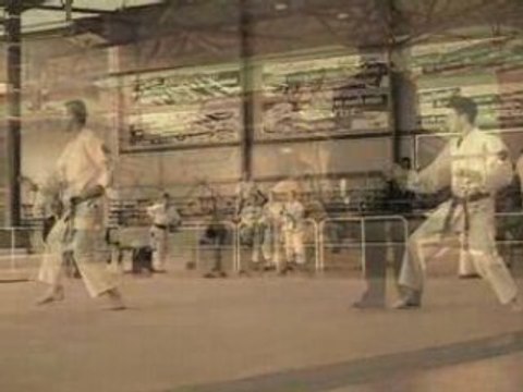 Coupe de france Nihon Tai Jitsu 2006