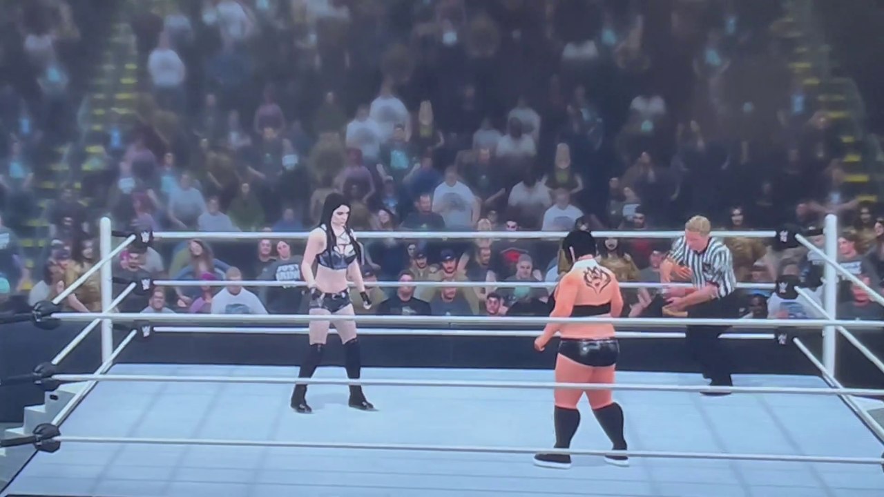 Breta vs Paige Title Match