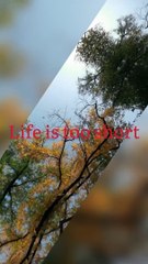 Life is too short # Motivational short # don’t waste your time