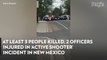 At Least 3 People Killed, 2 Officers Injured in ‘Active Shooter’ Incident in New Mexico