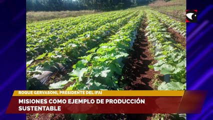 Sala Cinco – Programa completo 15/05/23