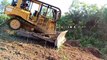 Bulldozers D6R XL Clear Forest Remnants in Difficult Places