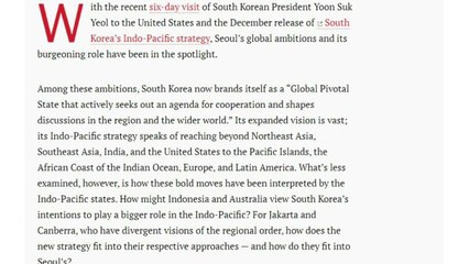 "한국 새 인태전략 동남아엔 우려 요소...투자 강화 필요" / YTN