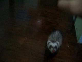 Entrainement petit tour 1