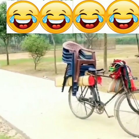 Funny video dailymotion