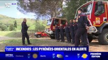 Sécheresse: les Pyrénées-Orientales en 
