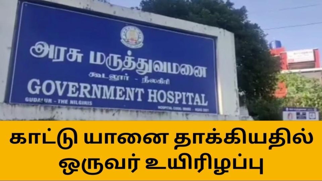 கூடலூர்: காட்டு யானை தாக்கியதில் ஒருவர் உயிரிழப்பு
