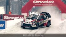WRC (World Rally Championship) 2018, TOYOTA GAZOO Racing Rd.2 スウェーデン ハイライト 2/2 , Driver champion, Sébastien Ogier