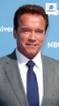 Arnold Schwarzenegger Net Worth 2023 | 38th Governor of California | Information Hub