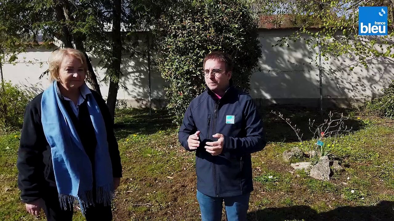 Les plantes sauvages avec Elisabeth Busser de Plantasanté 1/6