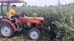 Jar Cutting Machine With Mini Eicher tractor//Essy farming Best farming Indian//