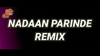 Nadaan Parinde Remix | Rockstar | DJ Vaggy & Stash X DJ Lemon | VDJ DH Style
