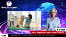 Quelles sont les garanties de l'assurance animaux ?