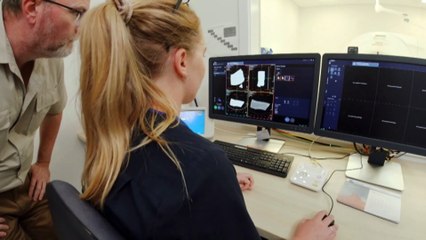 Palaeontologists uncover clues from the ancient past