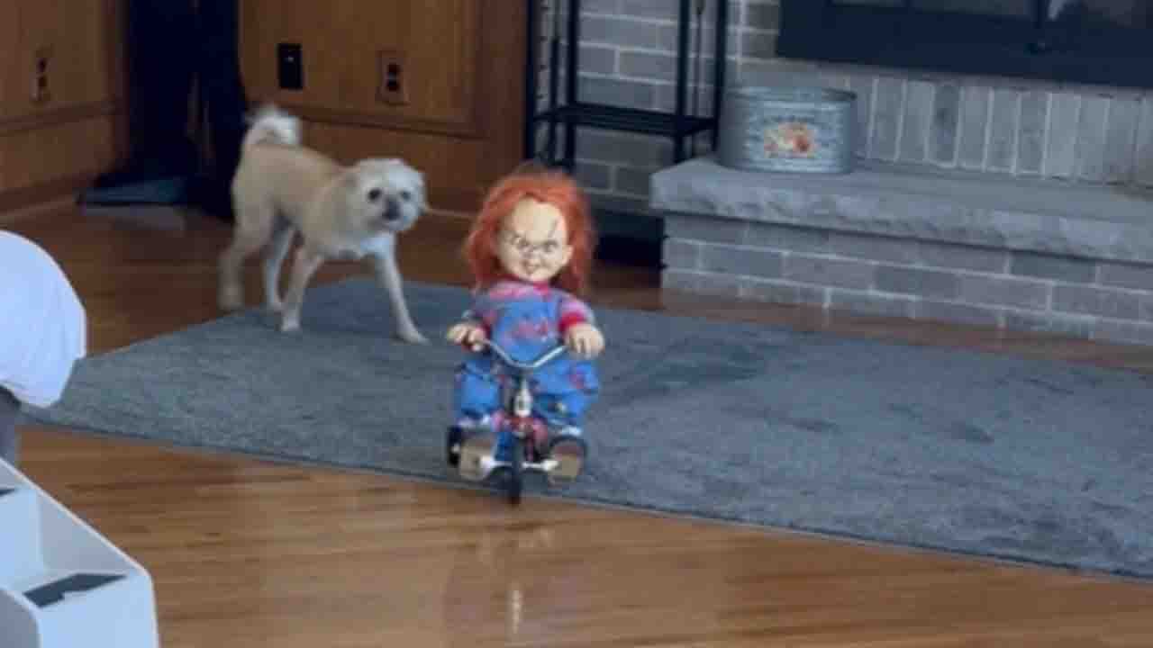 Chucky riding freely on a tricycle is guaranteed to give you CHILLS