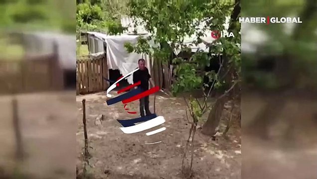 O anları izleyenler gözlerine inanamadı, yılanı elleriyle yakaladı! Adamın korkusuz ve soğukkanlı tavırları dikkat çekti