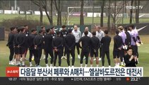 다음달 부산서 페루와 A매치…엘살바도르전은 대전서