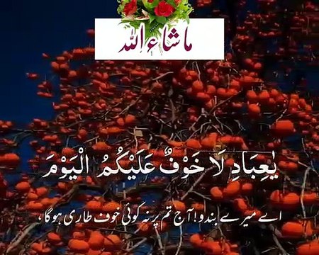 Islamic videos/ quran tilawat/ قرآن پاک کی تلاوت/ Deen ki baate