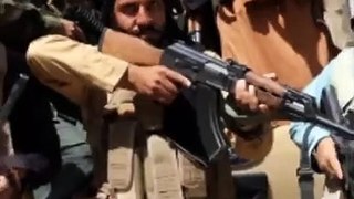 Taliban_Attitude_status_Badri_313_Status__afghan_mujahideen(360p)