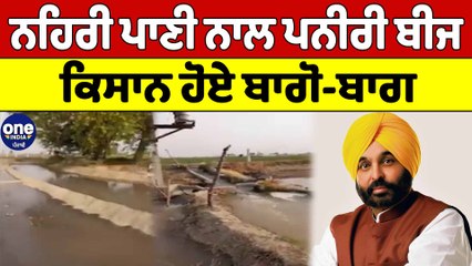 ਨਹਿਰੀ ਪਾਣੀ ਨਾਲ ਪਨੀਰੀ ਬੀਜ ਕਿਸਾਨ ਹੋਏ ਬਾਗੋ-ਬਾਗ | OneIndia Punjabi
