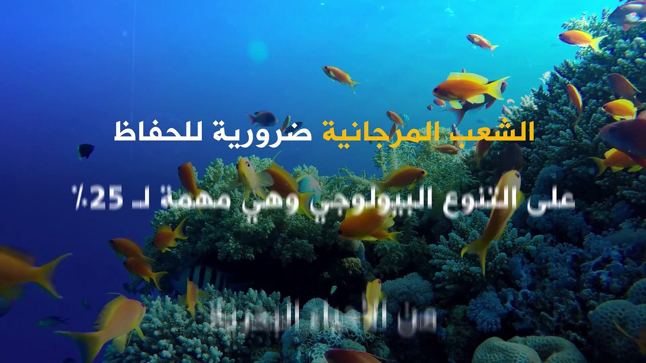 روبوت لمساعدة الشعب المرجانية على النمو