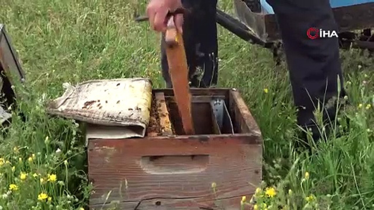 Aylardır Diyarbakır’da olan gezgin arıcı 2,5 ton rekolte bekliyor