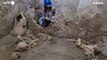 Rinvenuti a Pompei scheletri di due vittime del sisma concomitante all'eruzione vulcanica del 79 d.C.