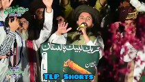 Allama Saad Hussain Rizvi about imran khan_tlp bayan