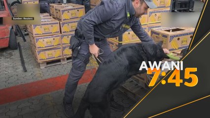 Kotak pisang berisi kokain bernilai AS$880 juta dirampas