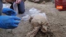 A Pompei ritrovati due scheletri intatti. Ecco le immagini