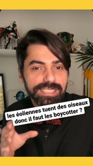 Les éoliennes tuent des oiseaux !