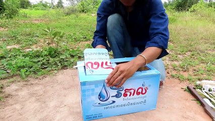 How To Make Bird Trap. Best Quick Bird Trap Using Vital Cardboard Box And Woods