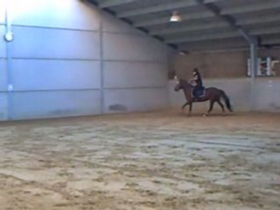 kameron et moi a une leçon d'obstacle