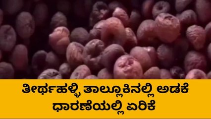 ಅಡಿಕೆಗೆ ಬಂತು ಬೆಲೆ :ರೈತರ ಮುಖದಲ್ಲಿ ಮಂದಹಾಸ..!