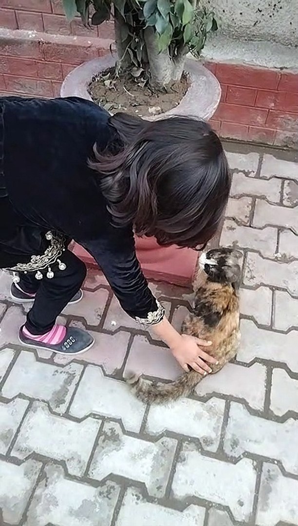 ⁣Funny pets