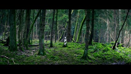 Inland Bande-annonce en Version Originale 🎬