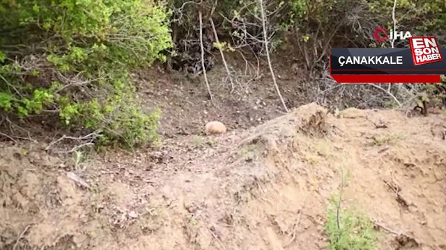 Çanakkale Savaşları'ndan kalma 108 yıllık patlamamış top mermisi imha edildi