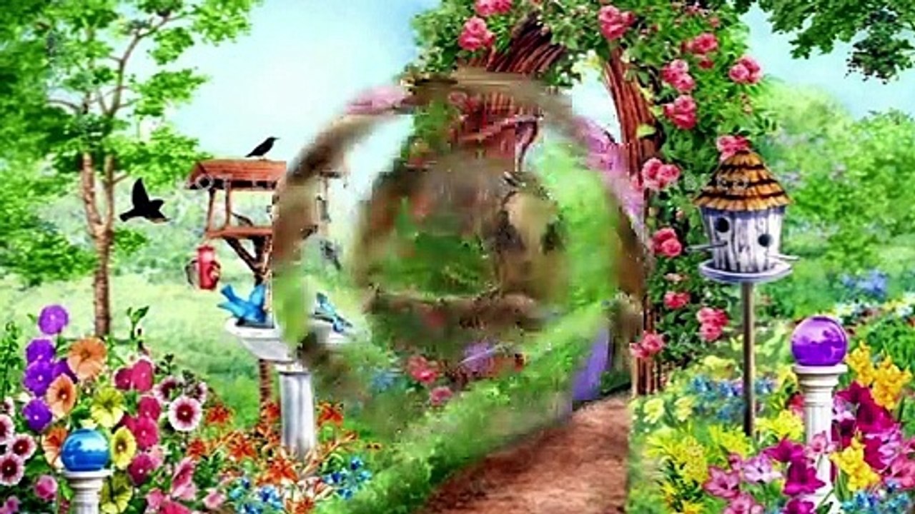 Top 20 beautiful birds pictures\deep meaning,beautiful birds