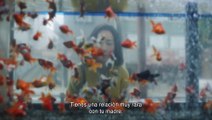 A Hundred Flowers - Tráiler oficial VOSE