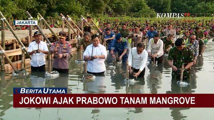 Momen Jokowi Tanam Mangrove di Taman Wisata Alam Angke Kapuk Bersama Prabowo!