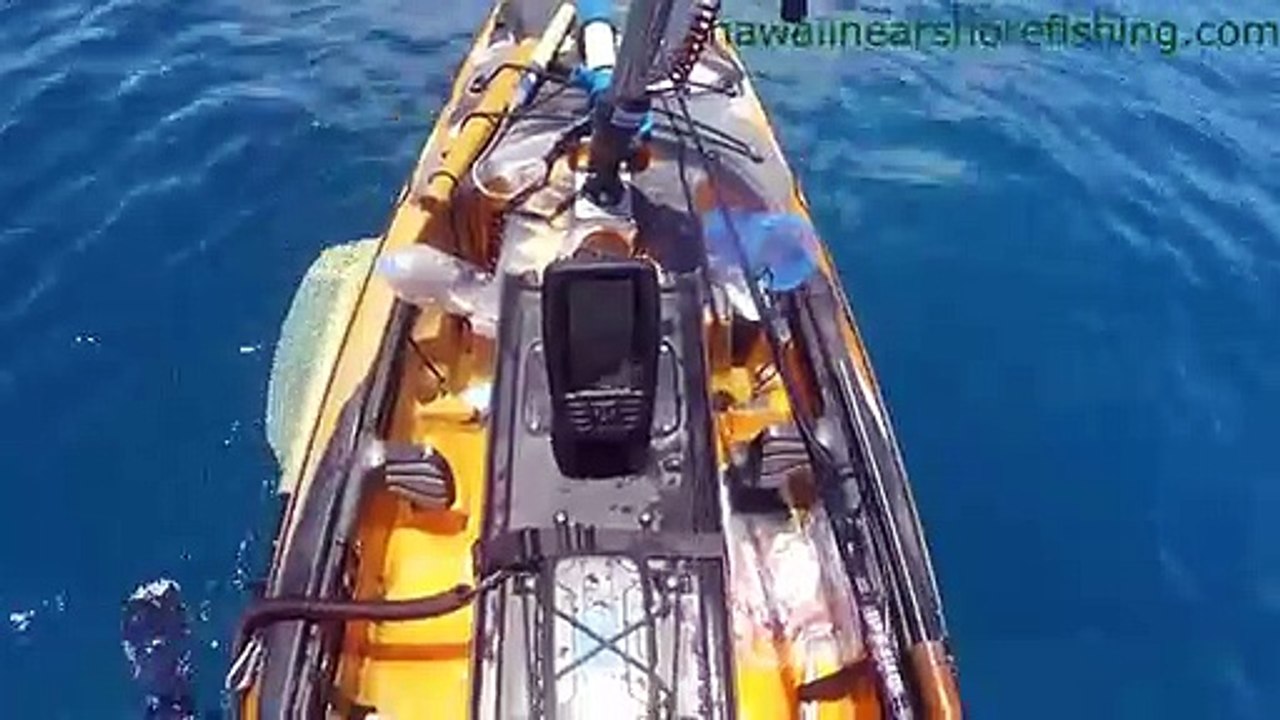 Un requin s'en prend à un kayak en pleine mer