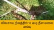 வேலூர்:விவசாய நிலத்தில் 10 அடி நீள மலை பாம்பு!