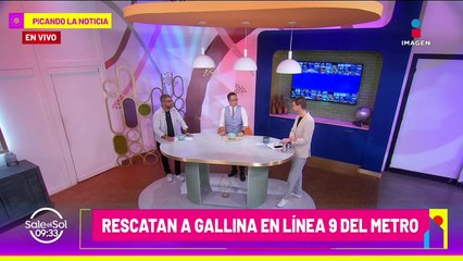 Cierran línea 9 del metro para rescatar a una gallina de las vías