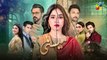Meesni Episode 86 - ( Bilal Qureshi, Mamia, Faiza Gilani ) 16th May 2023 - HUM TV