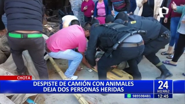 Chota: camión de carga de ganado vacuno se despista y deja dos personas heridas