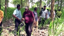 Sri Lanka farmers protest after elephants destroy crops