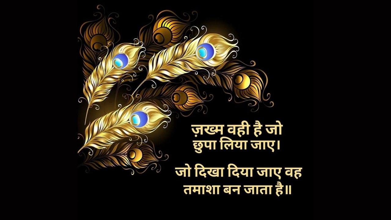 Deep Meaning With Peacock Feather